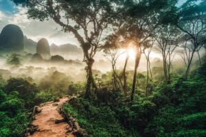 The rainforest in flames: How humanity is burning its green heart