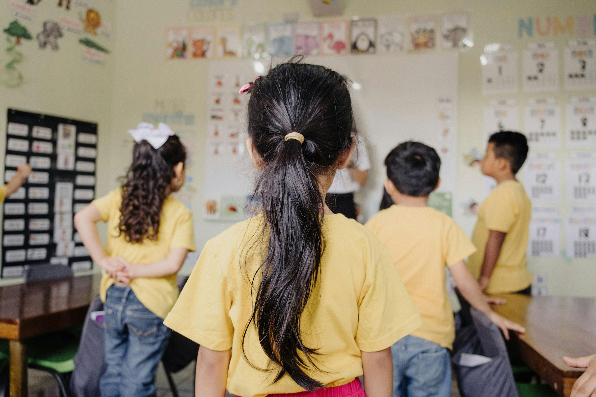 The education crisis: How budget cuts are destroying our future